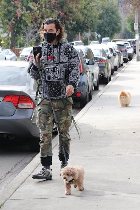 Rita Ora carries her puppy Cher in a Louis Vuitton holder