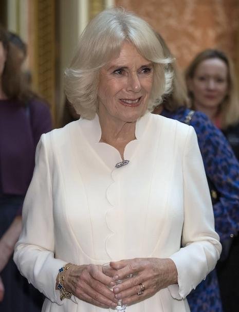 465px x 607px - CAMILLA : IN CHARGE OF MAKING PEACE IN THE ROYAL FAMILY â€“ Janet Charlton's  Hollywood, Celebrity Gossip and Rumors